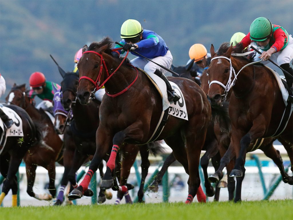 アリシアン221110