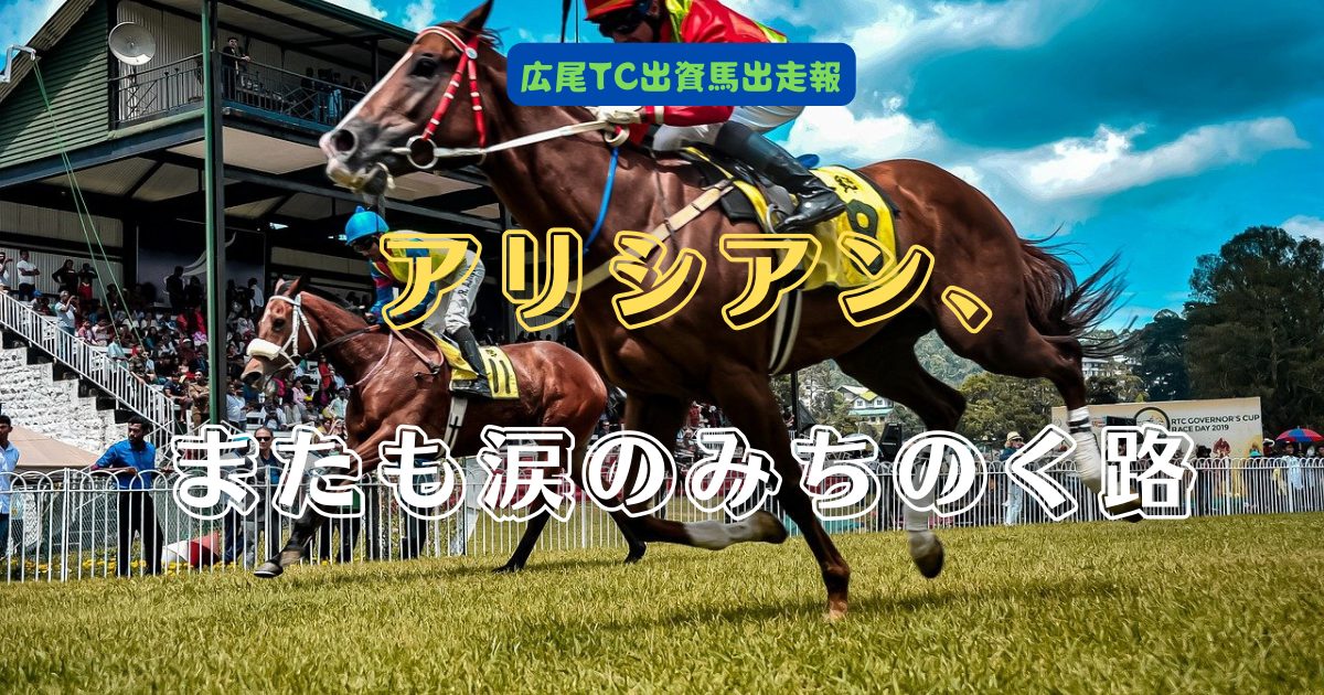 アリシアン、またも涙のみちのく路