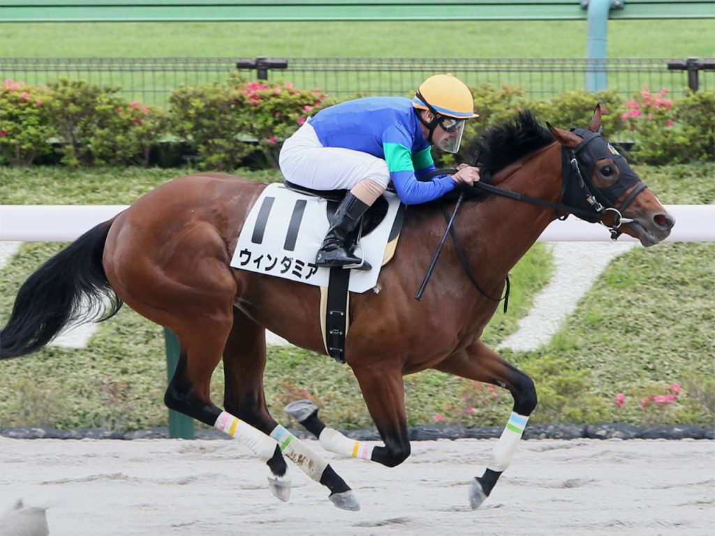 ウィンダミア220512