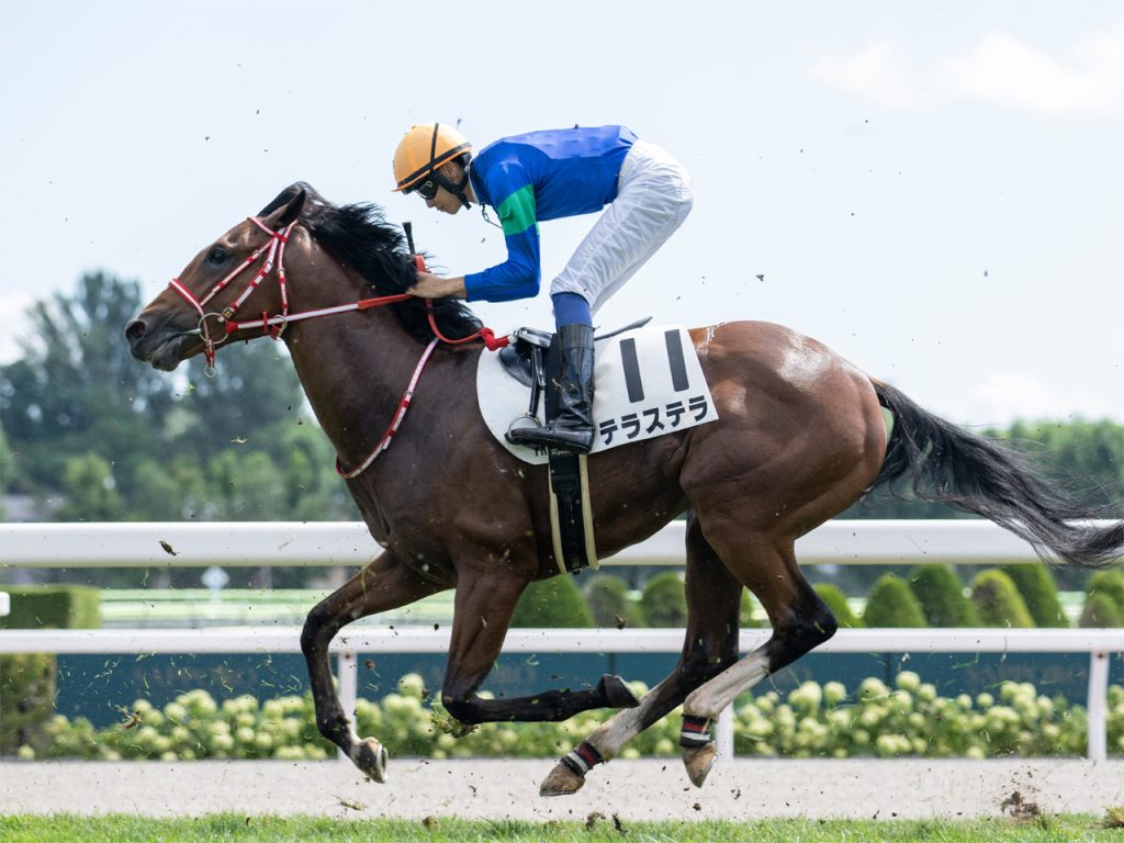 テラステラ220824