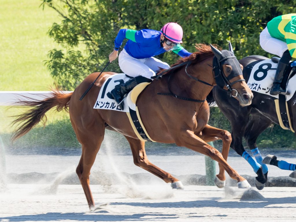 ドンカルロ221006