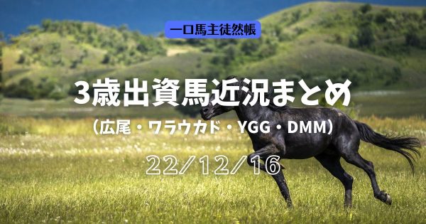 3歳近況221216