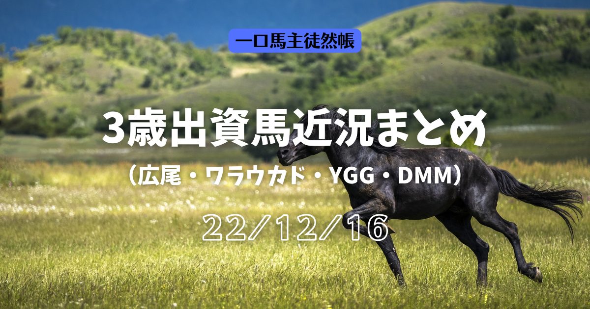 3歳近況221216