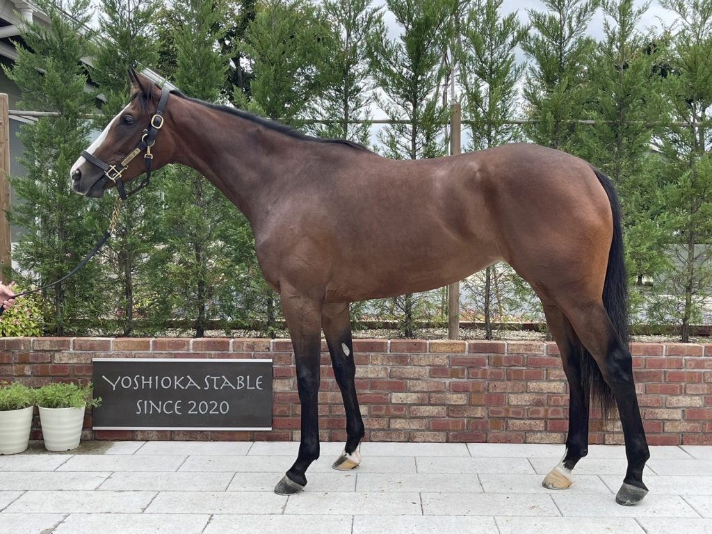 ポーレット220930