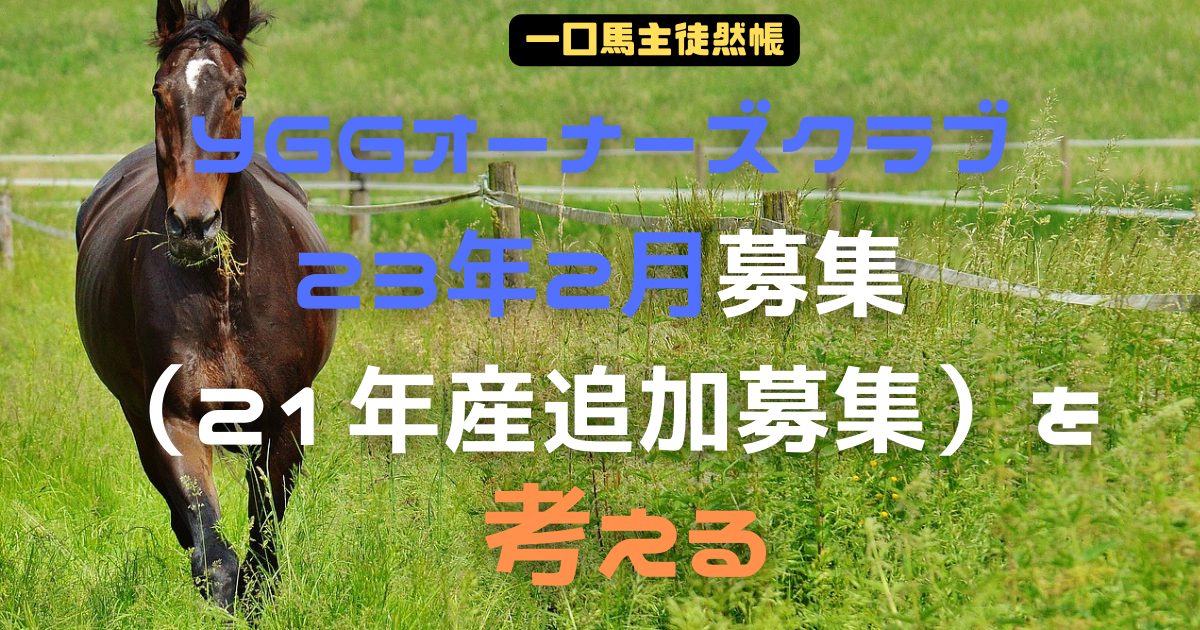YGG23年2月追加募集