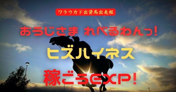 おうじさまれべるわんっ！　ヒズハイネス　稼ごうEXP!