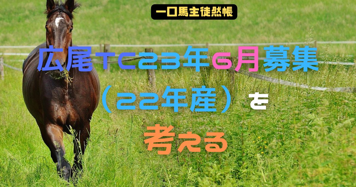 広尾TC23年6月募集を考える