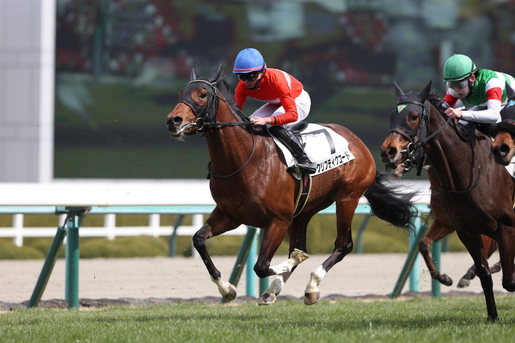 クリプティクコード230304