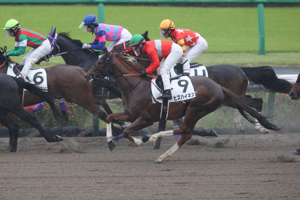 ヒズハイネス230415-2