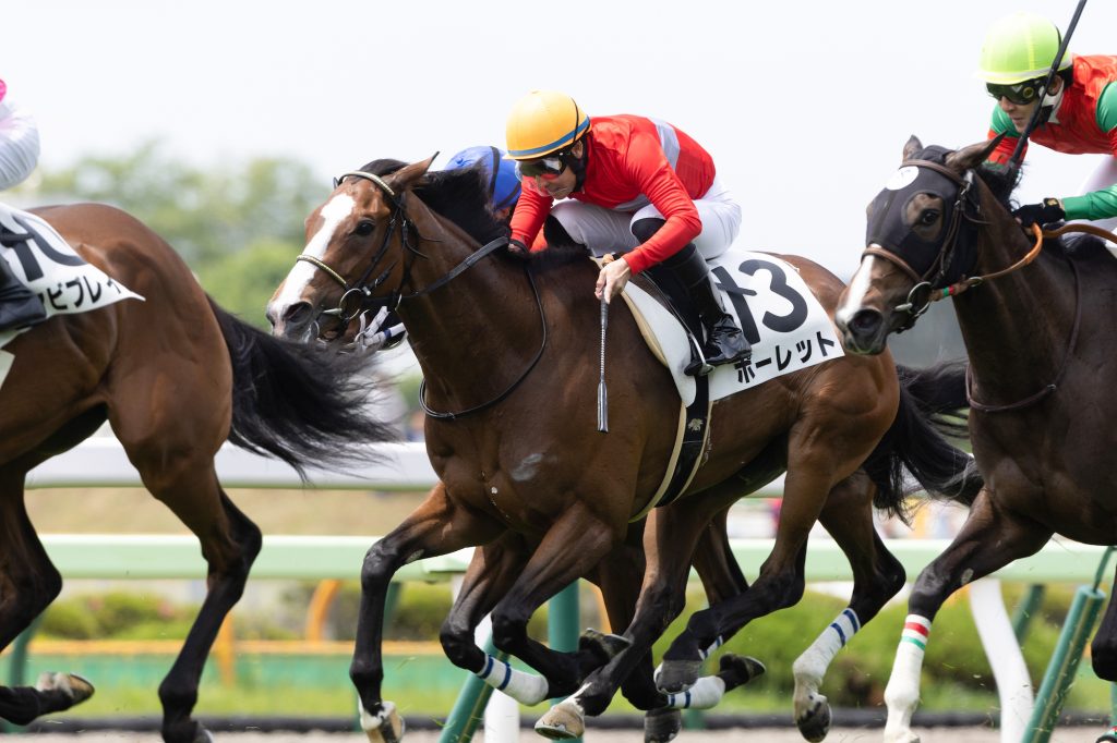 ポーレット230611