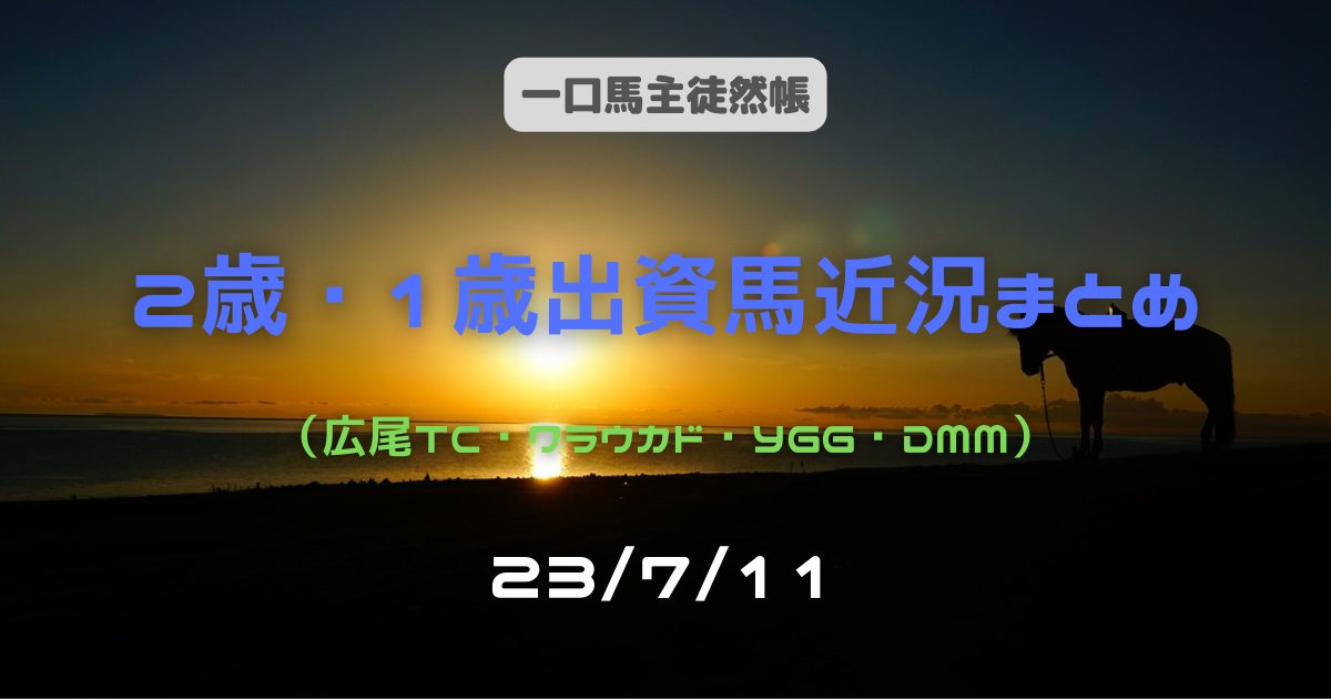 2歳1歳近況2307