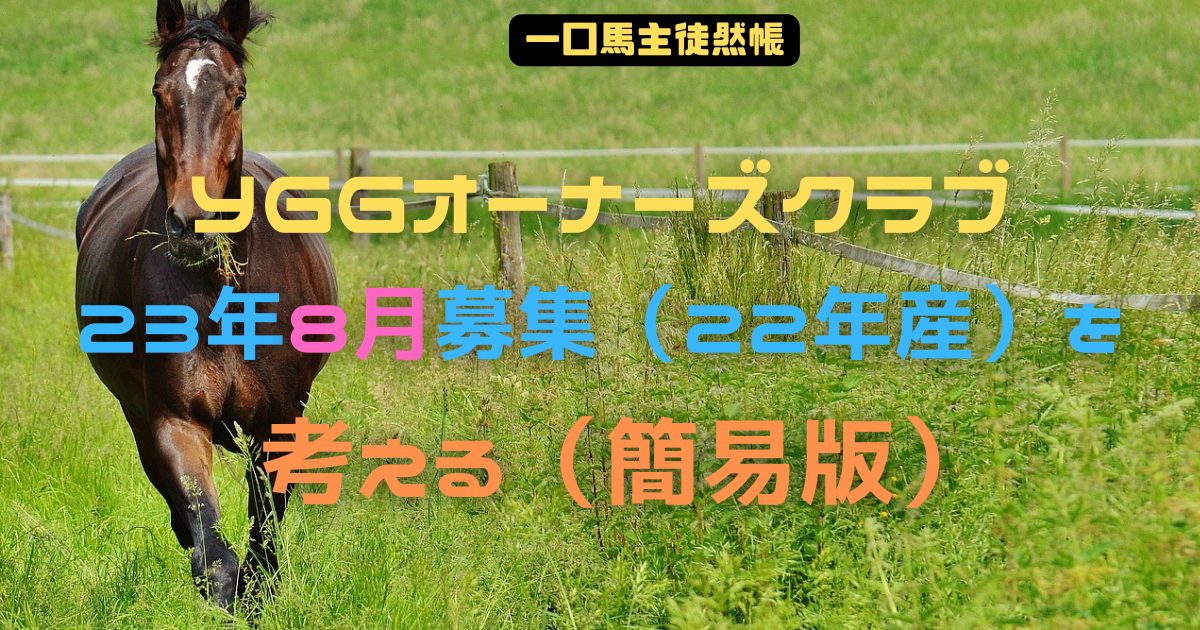 YGGオーナーズクラブ23年8月募集