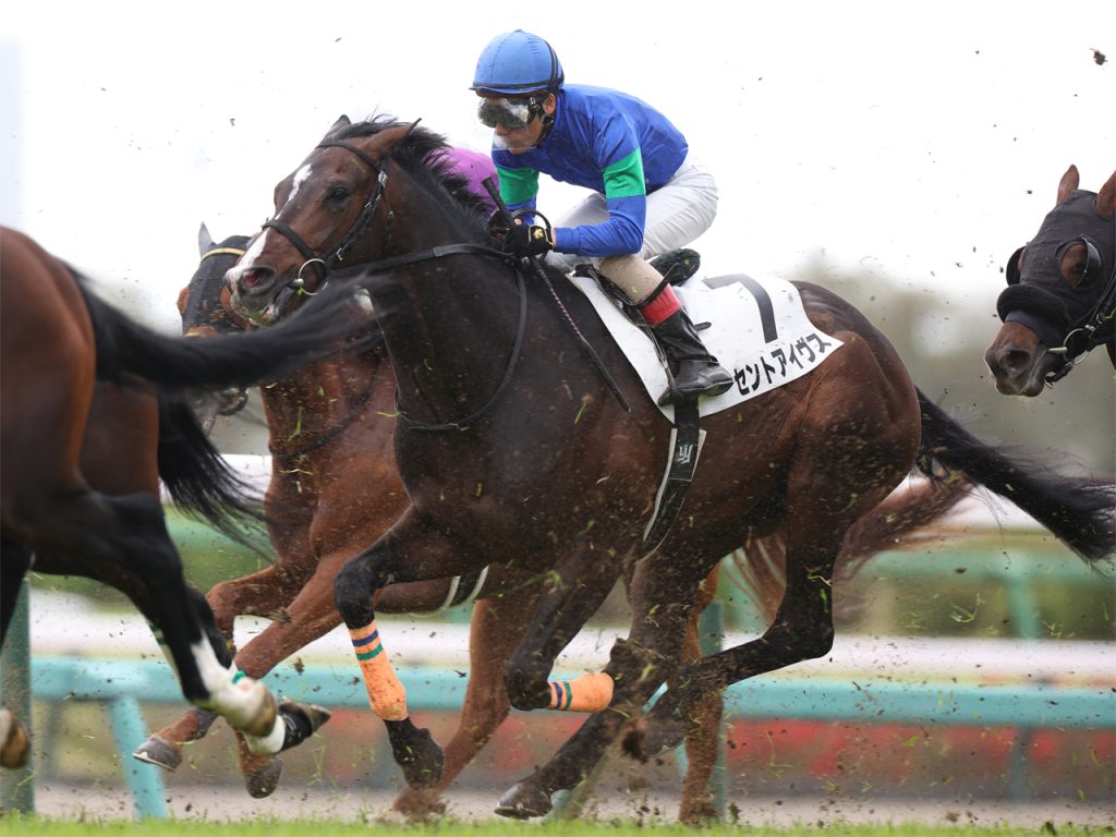 セントアイヴス230412