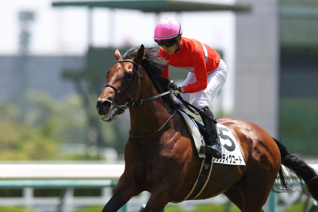 クリプティクコード230617