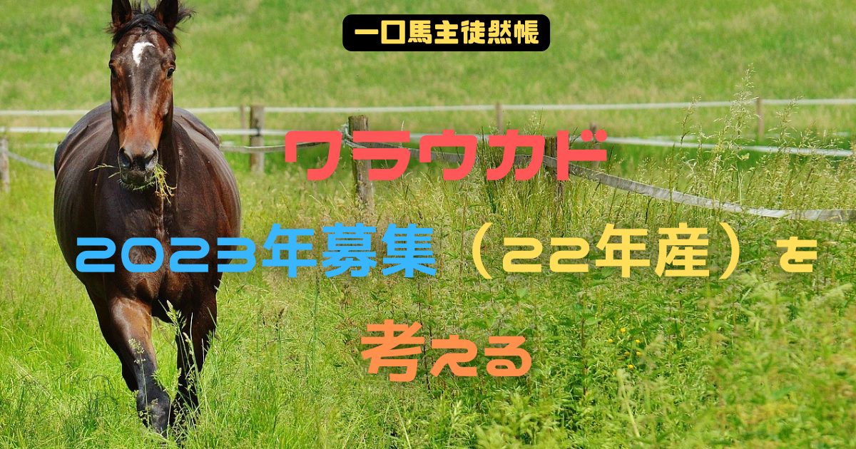ワラウカド2023年募集（22年産）を考える