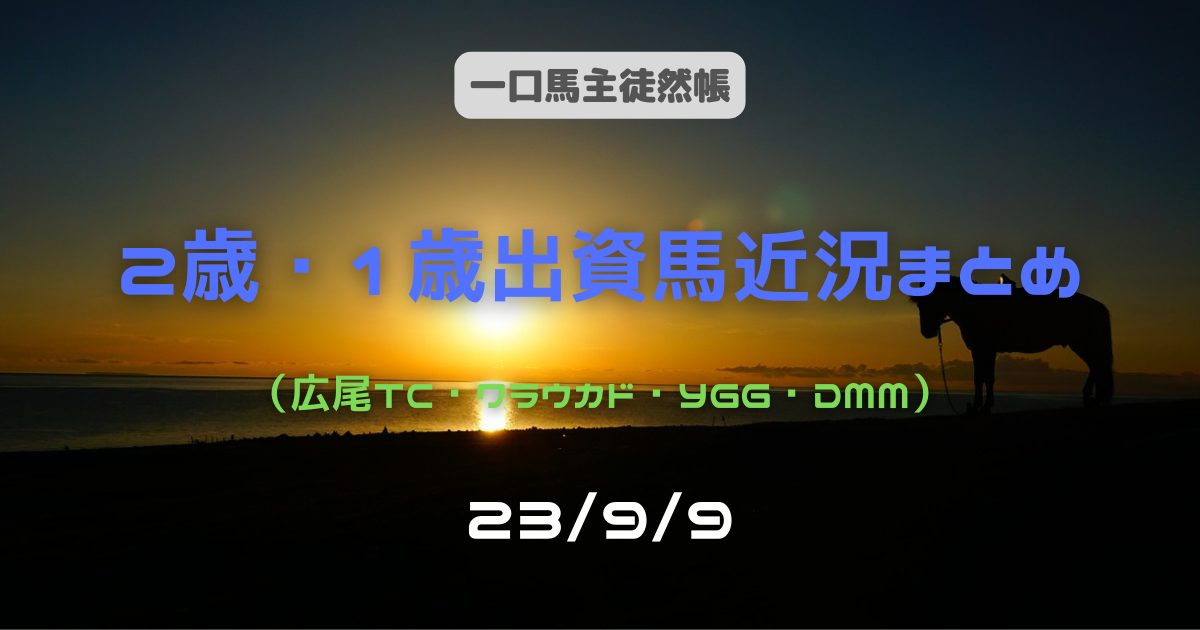一口馬主徒然帳2歳1歳近況2309