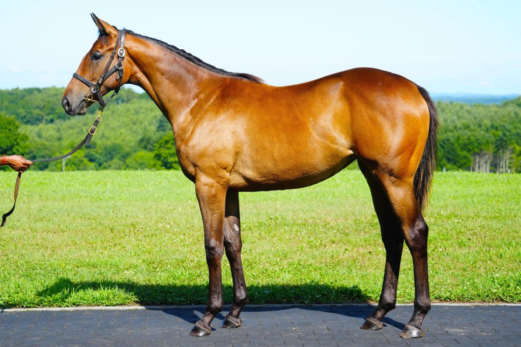 アップワードスパイラル22