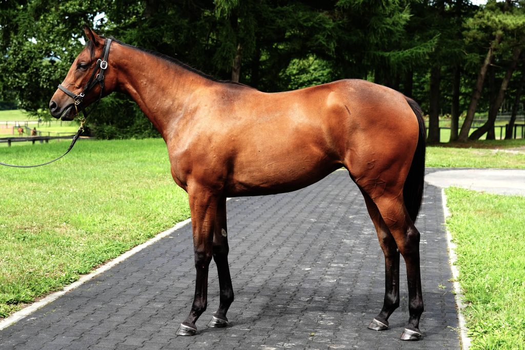 カフェソサエティ22