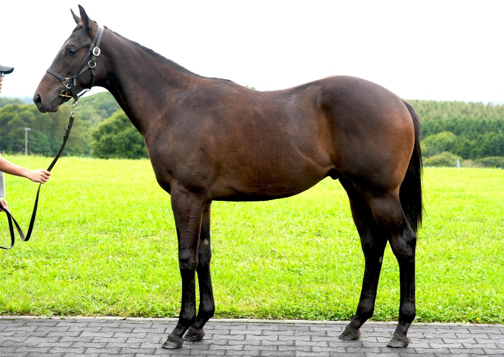 キトゥンズロア22