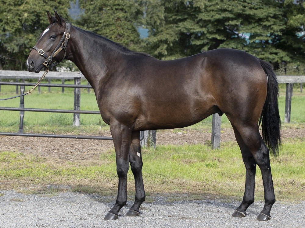 プリモタイム22