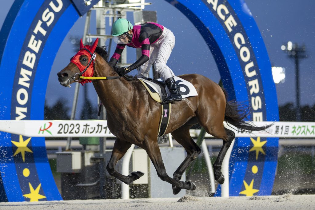 ヘリックス231005