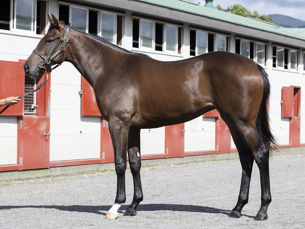 ロマンスガッサン22