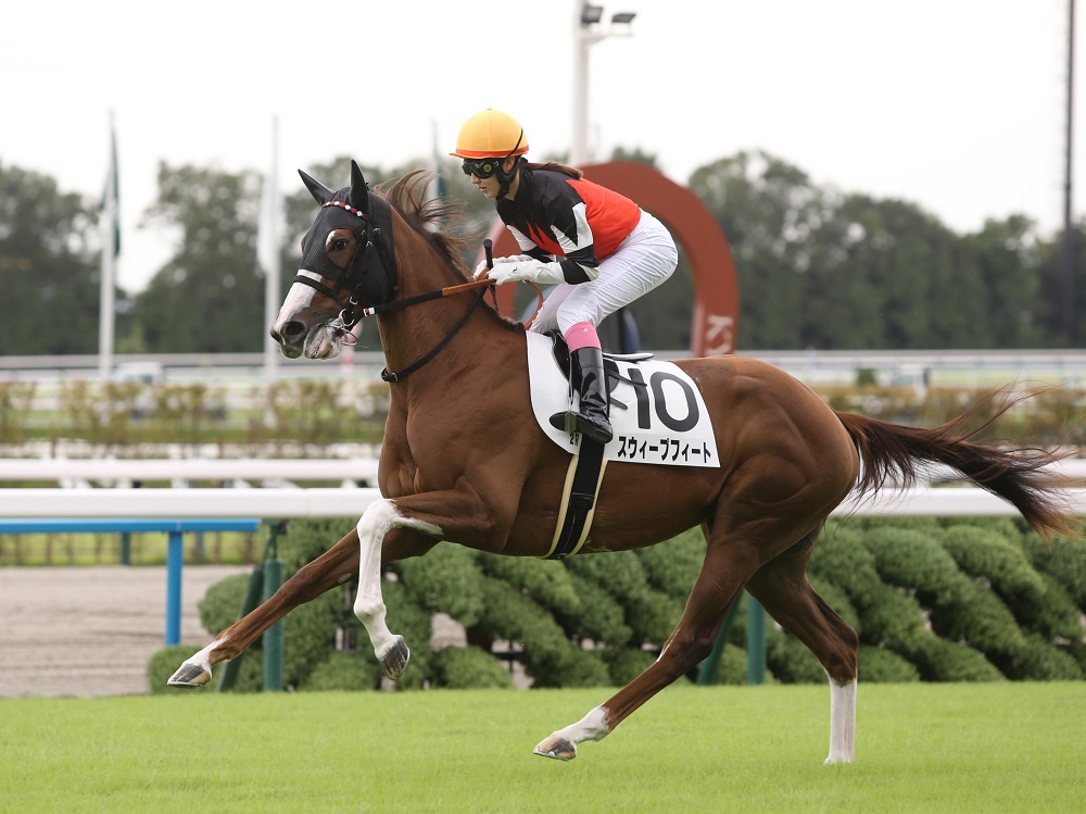 スウィープフィート231008