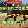 白菊の香はまことを告げる　スウィープフィート　陶酔33.1秒