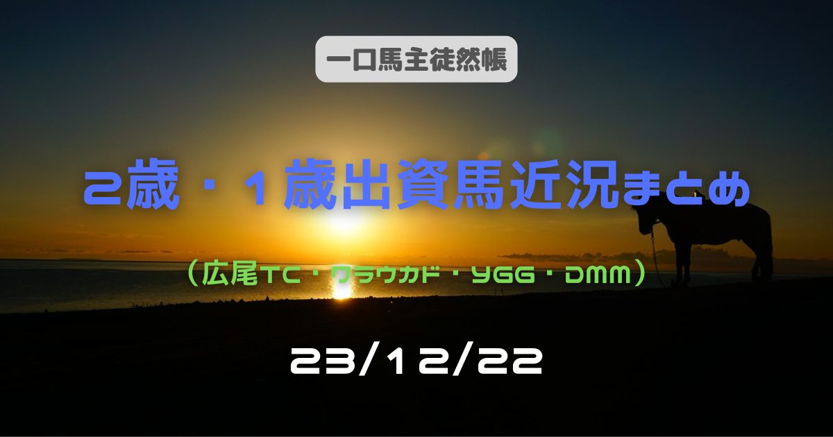 一口馬主徒然帳2歳1歳近況231222