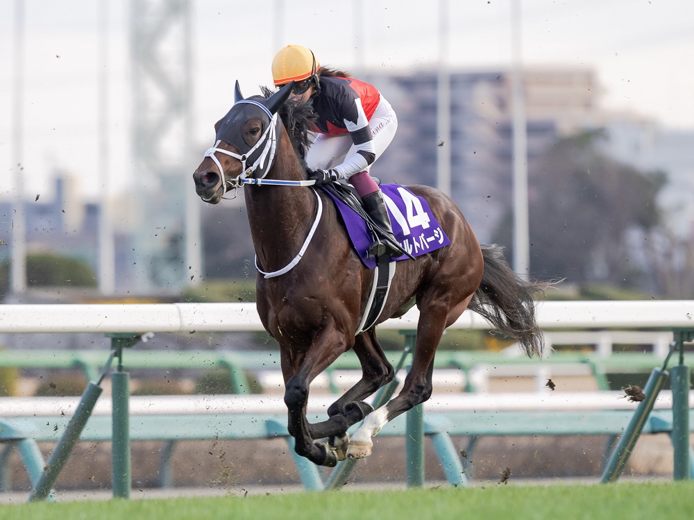 ホルトバージ231228