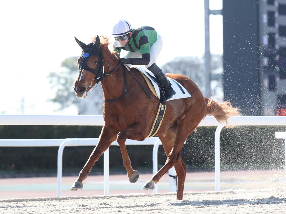 レーヌドゥール240109