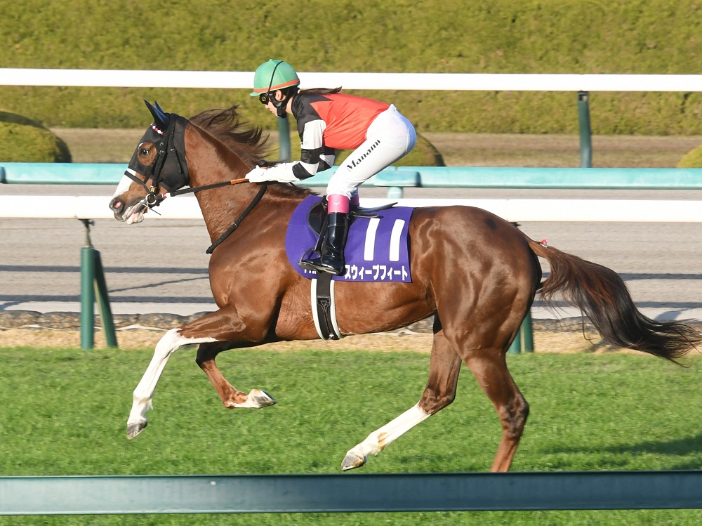 スウィープフィート231210
