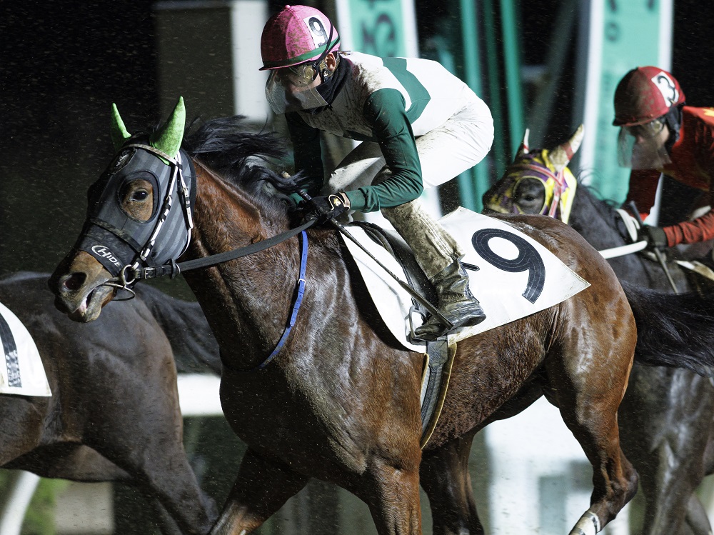 トレベルオール240106