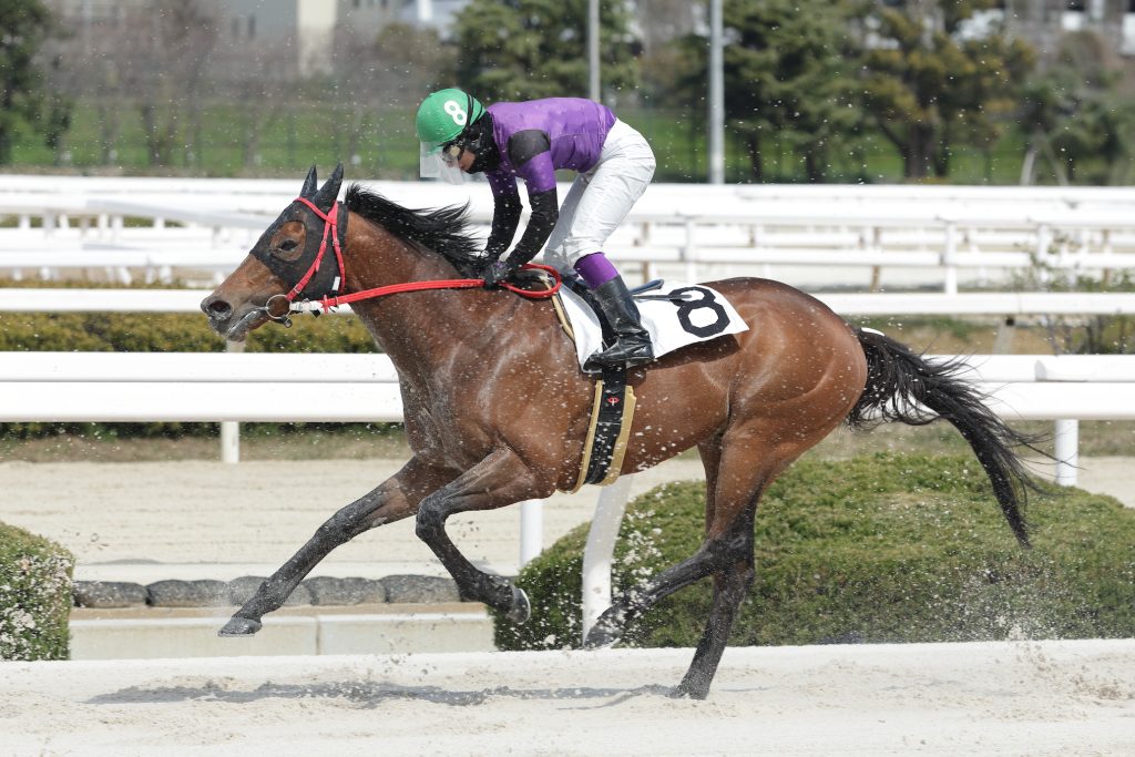 ヘリックス240321