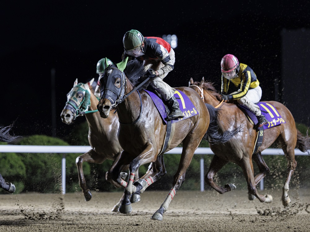 トレベルオール240204