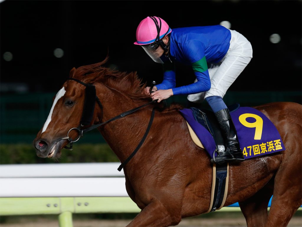 アンモシエラ240328