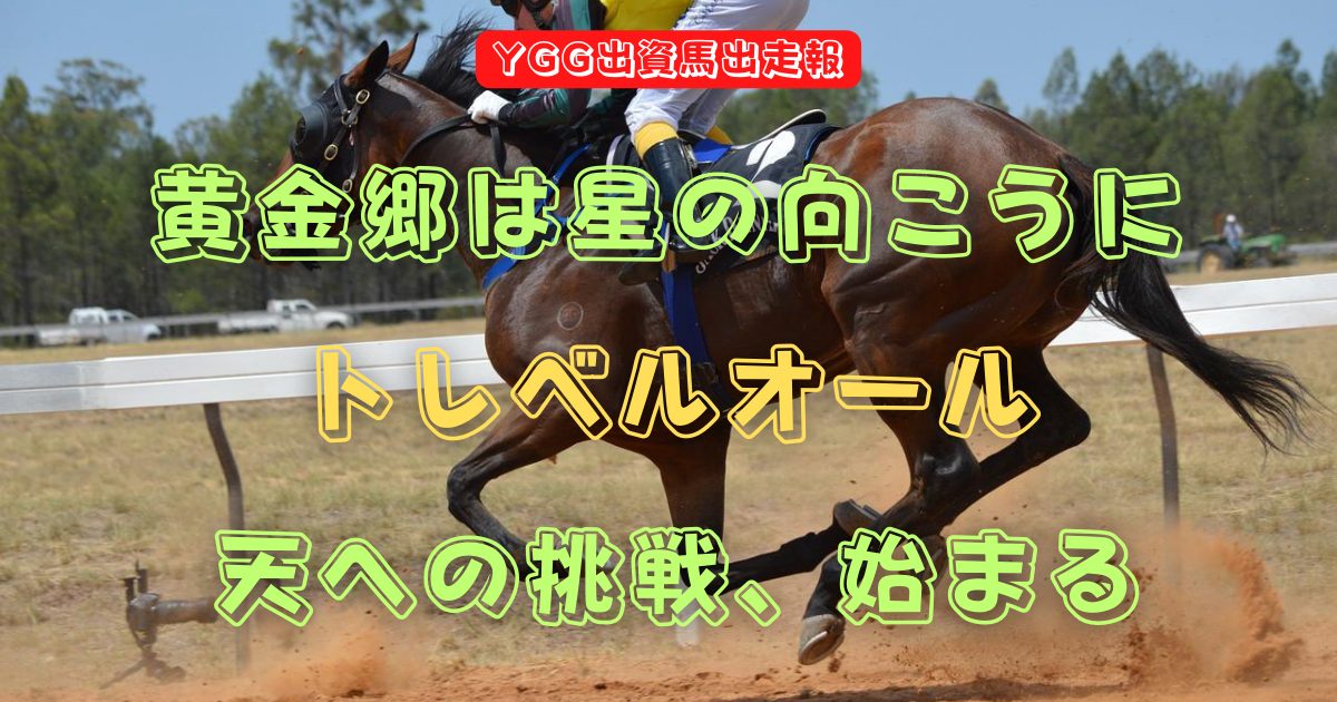黄金郷は星の向こうに　トレベルオール　天への挑戦、始まる（YGG出資馬出走報）