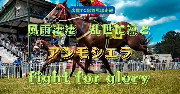 風雨凄凄　乱世に凛と　アンモシエラ fight for glory