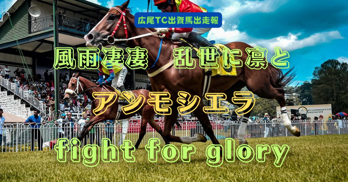 風雨凄凄　乱世に凛と　アンモシエラ fight for glory