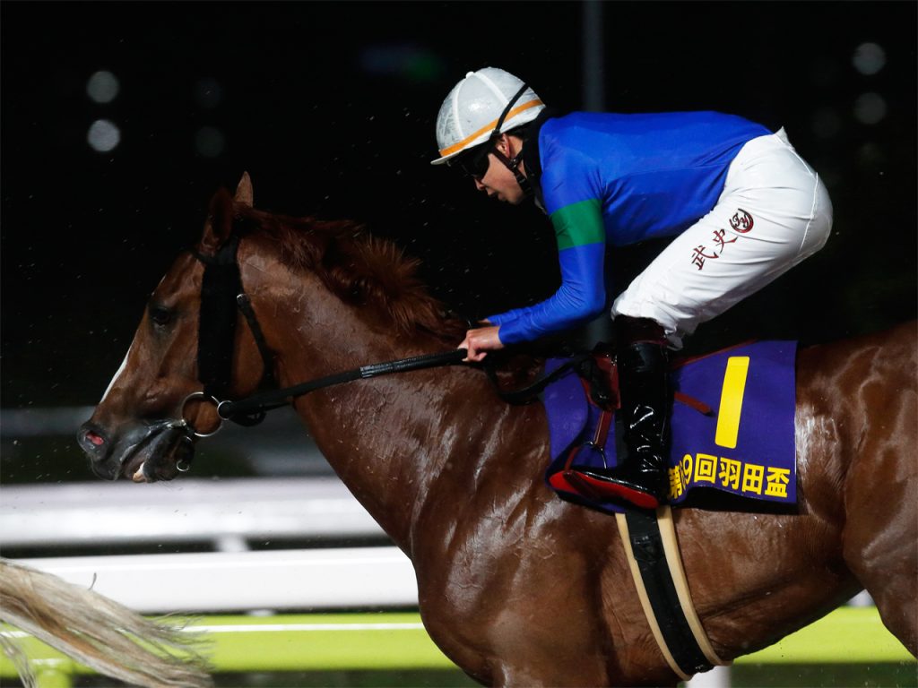 アンモシエラ240502