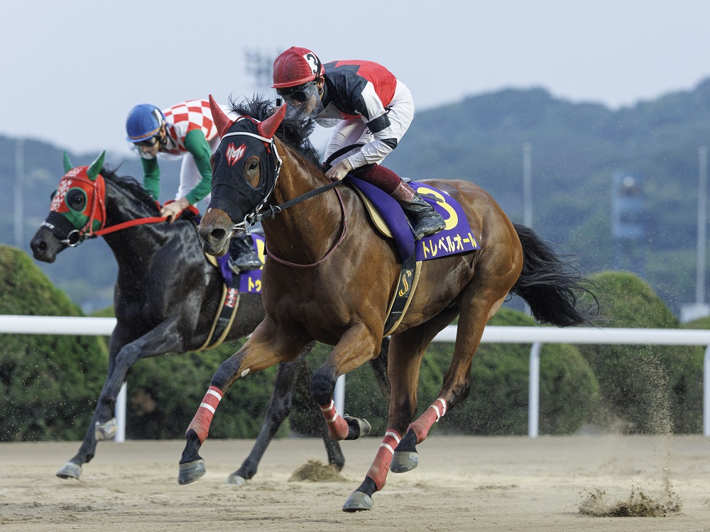 トレベルオール240526