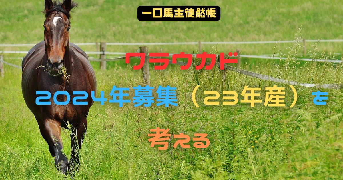 ワラウカド2024年募集（23年産）を考える