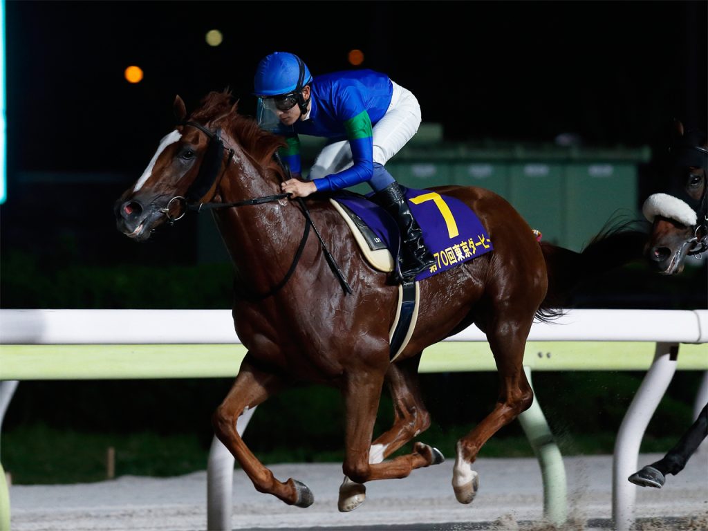 アンモシエラ240618