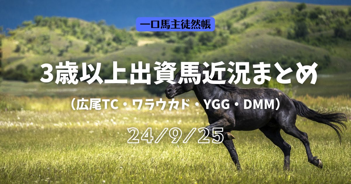 一口馬主徒然帳3歳近況240925