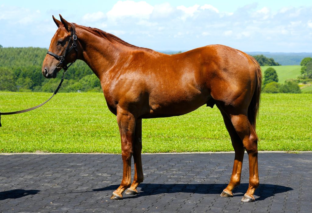 アップワードスパイラル23