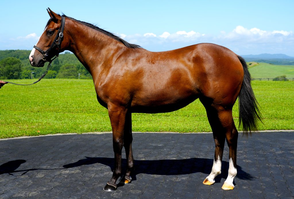 イフィゲニア23