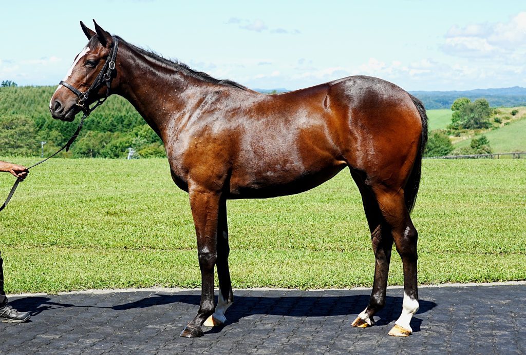 ゴーノニゴー23