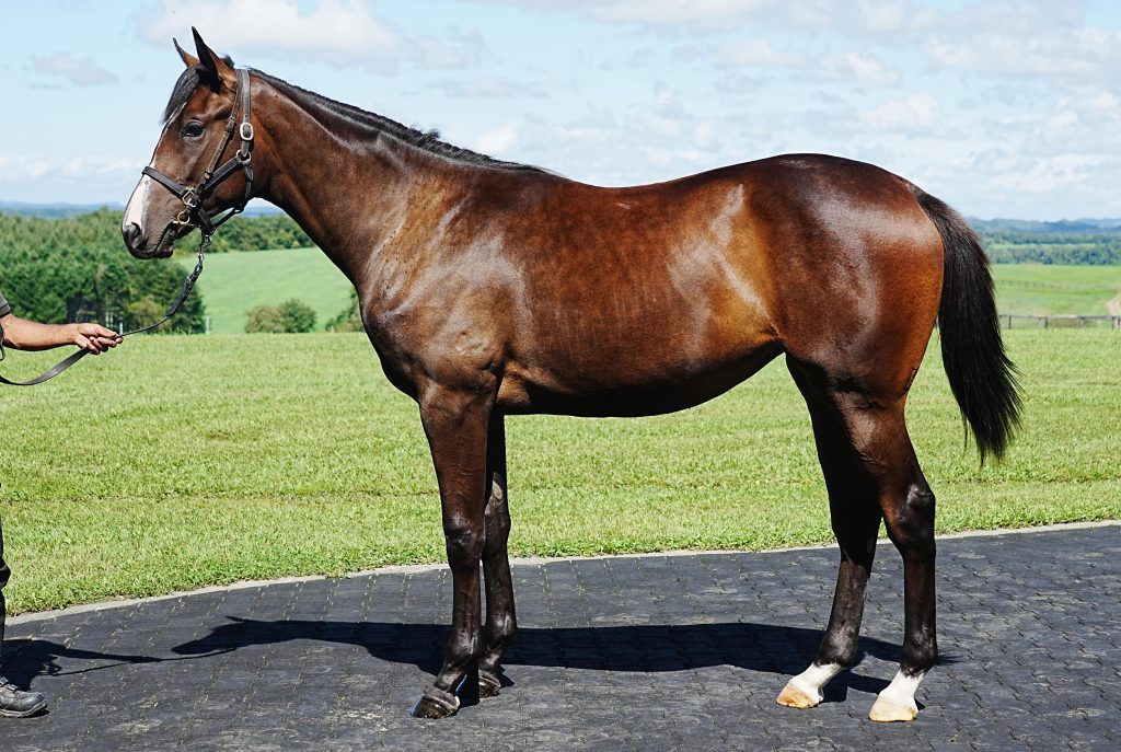 スウィートアンドフローレス23