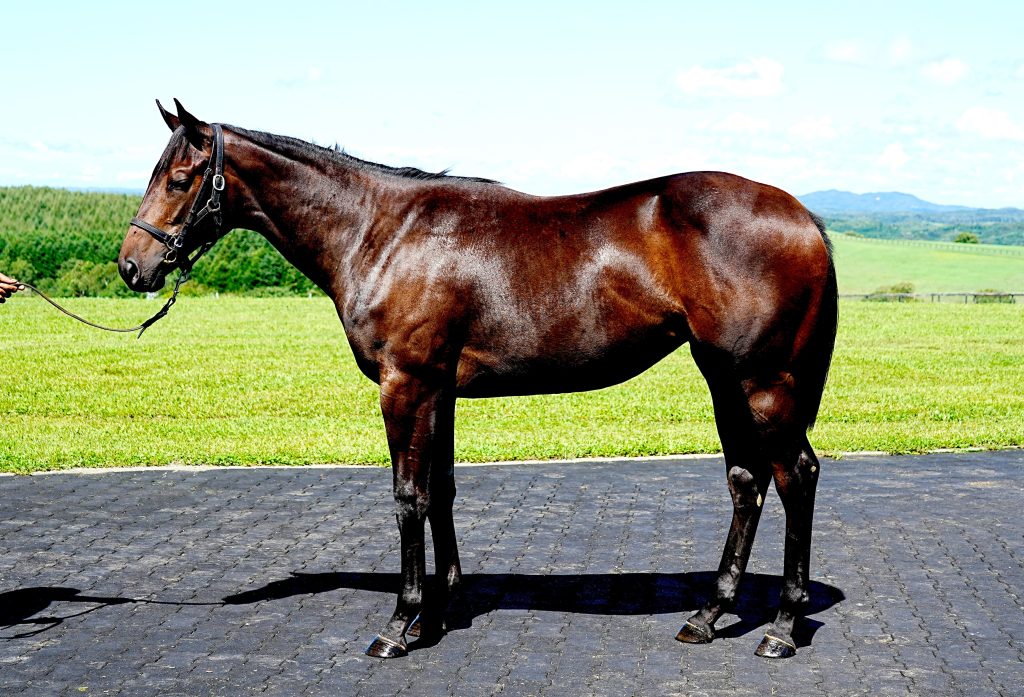 テイストオブハニー23