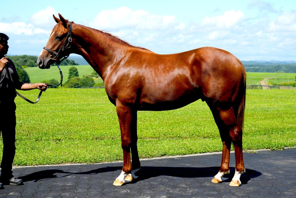 ブリスフルビート23